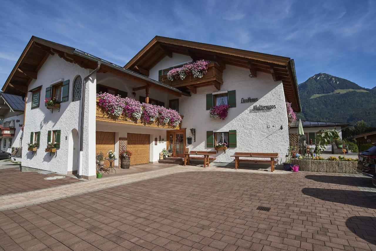 Landhaus Maltermoos เชอเนา อัม เคอนิกเซ ภายนอก รูปภาพ